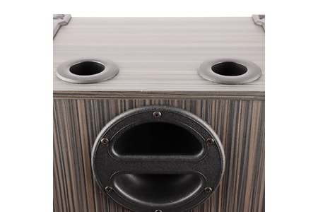 Hepu hp 934 Taşınabilir Kule Tipi Ahşap Bluetooth Parti Hoparlörü 3*10 inc 80w Süper Bass