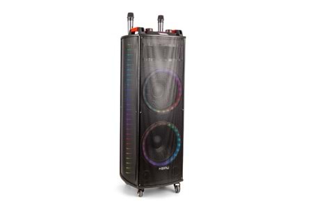 HEPU HP 916 Taşınabilir Şarjlı Bluetooth Büyük Boy Parti Hoparlörü 100w Rms 2*12 inc Woofer Karaoke Mikrafon