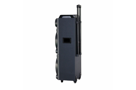 HEPU HP-996 Tekerlekli Party Hoparlör – 2 x 10” Woofer, 40W Güç, RGB Işık, 2 Kablosuz Mikrofon + Kumanda