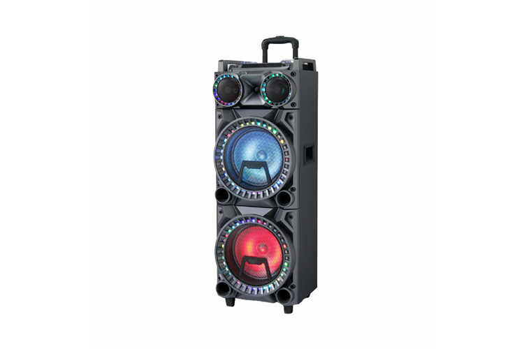 HEPU HP-996 Tekerlekli Party Hoparlör – 2 x 10” Woofer, 40W Güç, RGB Işık, 2 Kablosuz Mikrofon + Kumanda